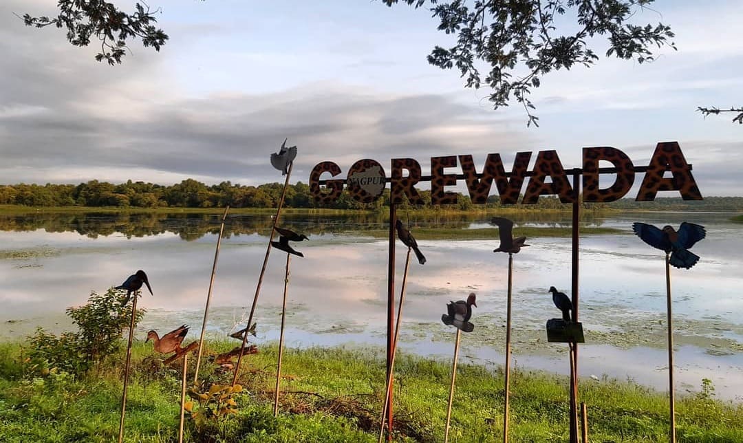 gorewadazoo