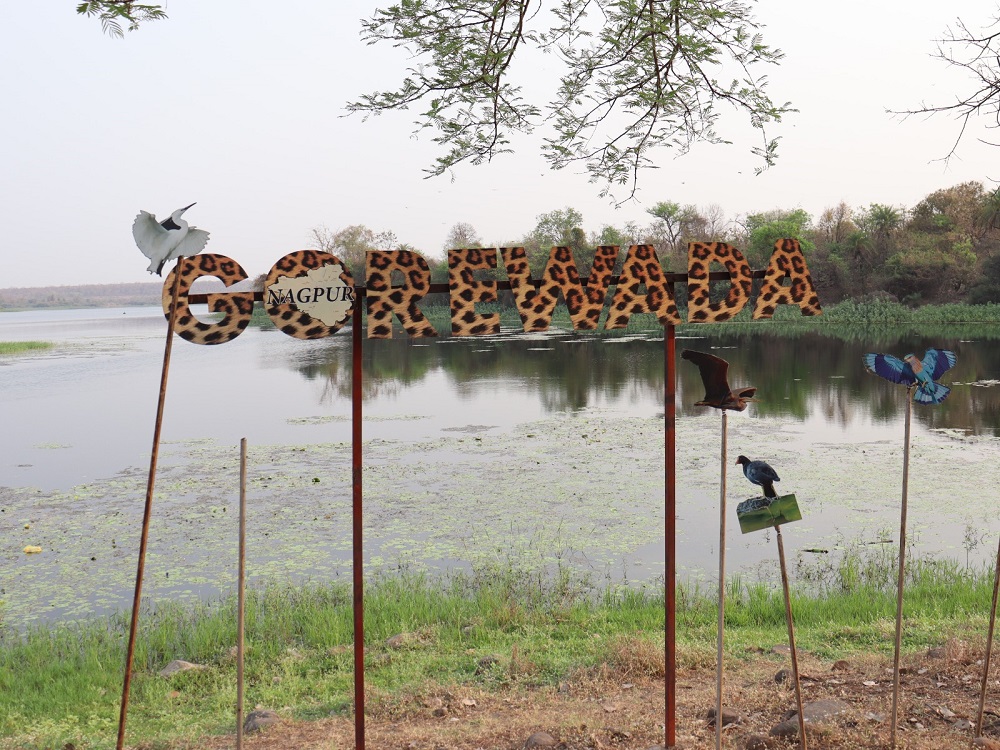 Gorgeous Gorewada Lake