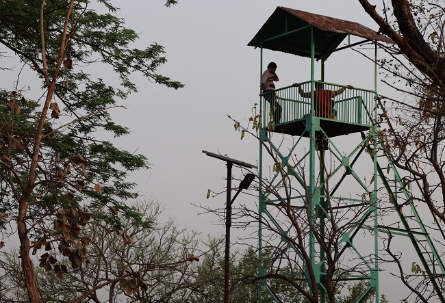 Gorewada nature