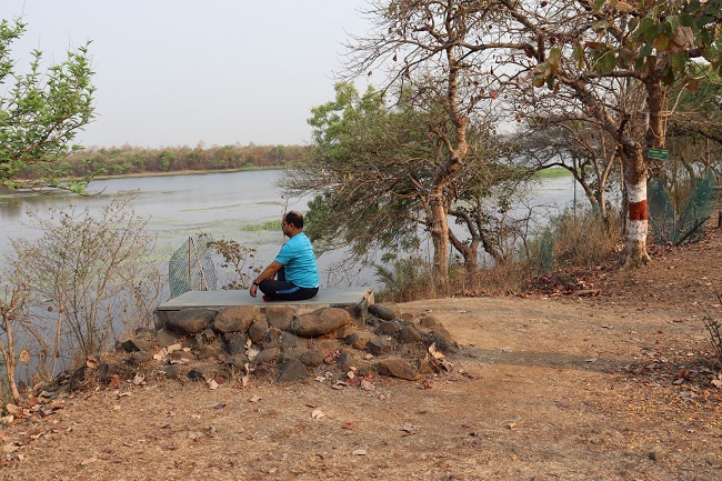 Gorewada jungle