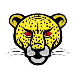 Leopard in open enclosure at Gorewada Zoo