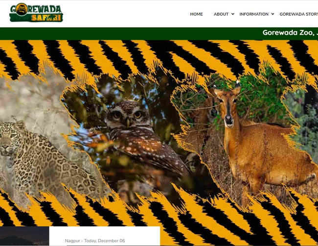 Our Website