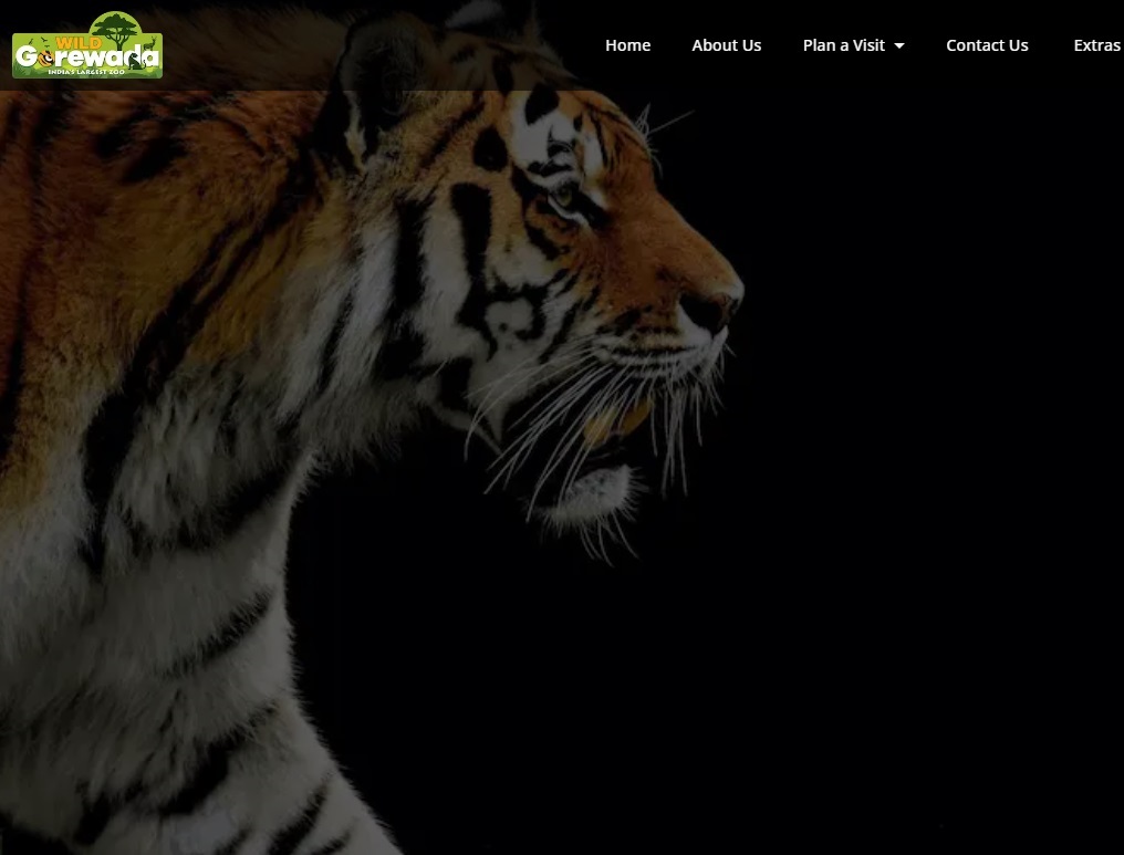 When the Official Website Was Started