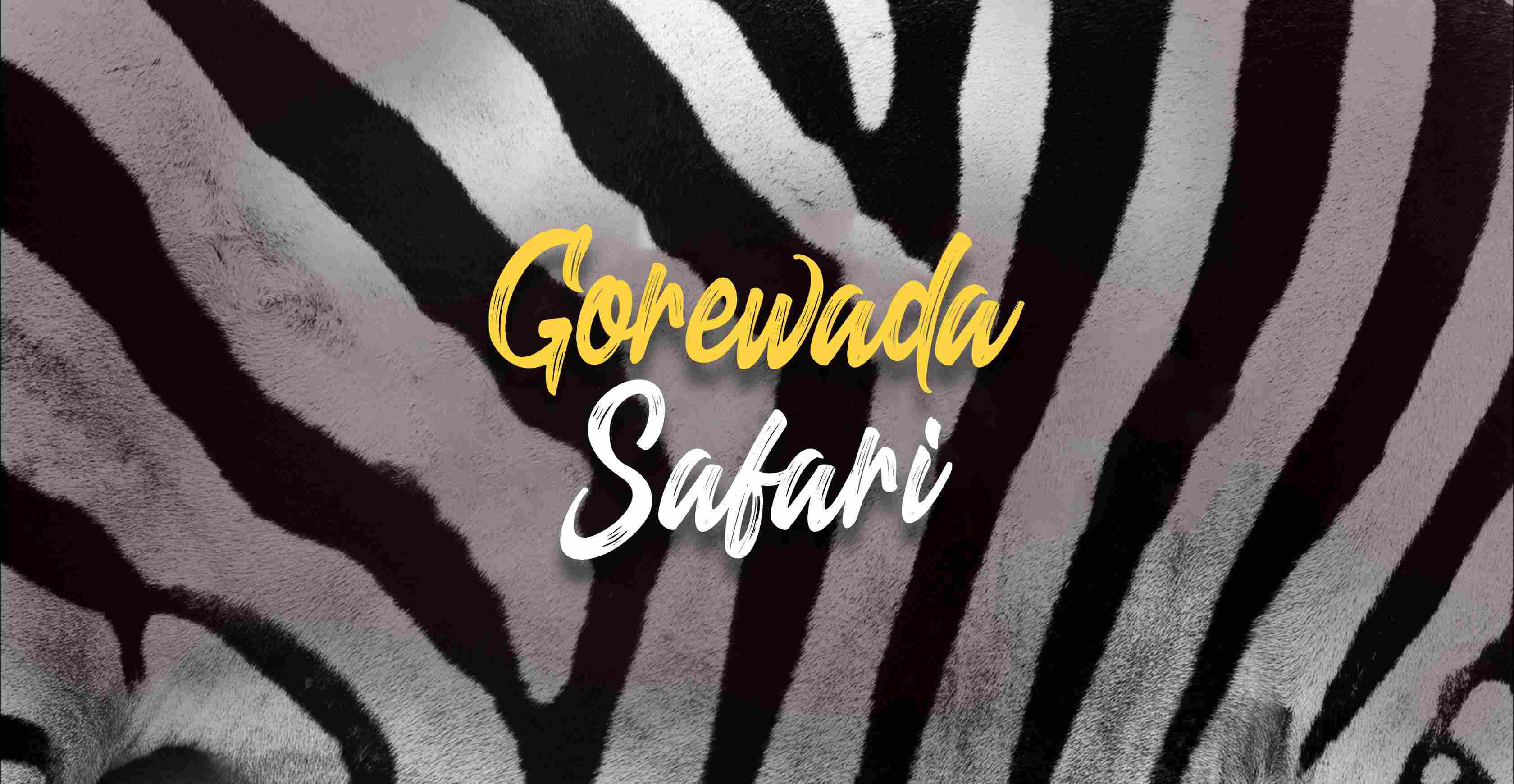 Gorewada Jungle Safari Booking